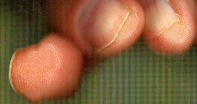 drie vingers
