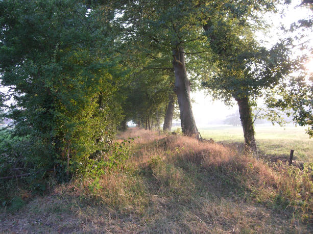 een van de vele laantjes....