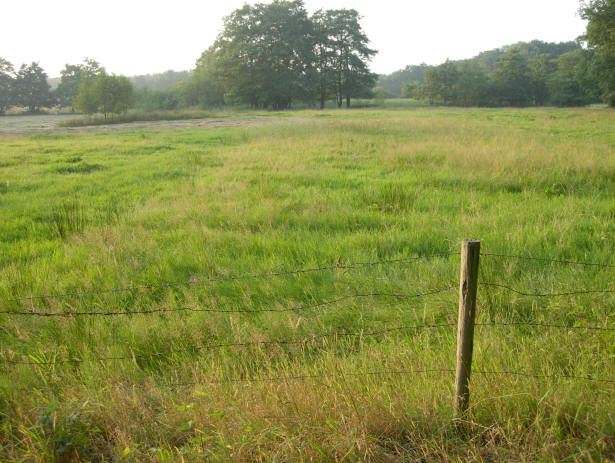 doorkijkje