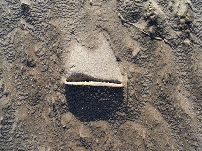 een schelp en de wind...