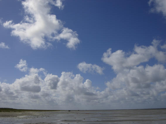 het strand van schiermonnikoog...