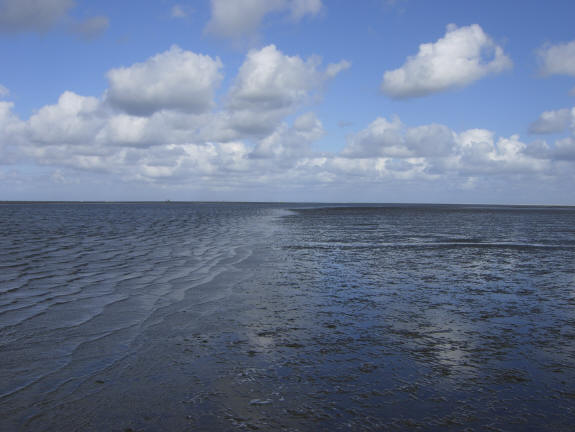 en die zilte lucht...