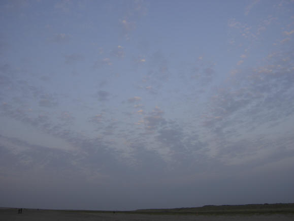 subtiele lucht...