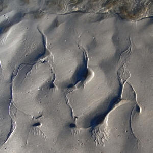 fijne streepjes in het zand...