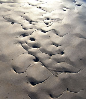 accenten in het zand...