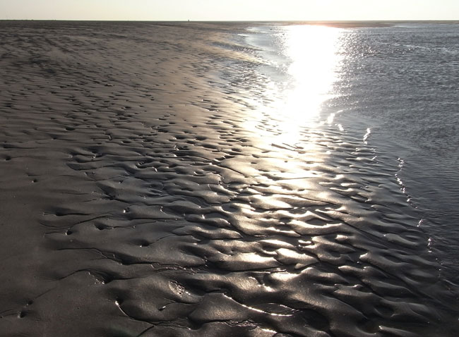het strand van schiermonnikoog...