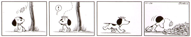 een jonge snoopy