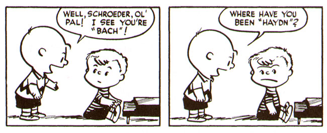 where have you been haydn?