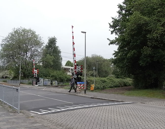 de blik naar links gericht...