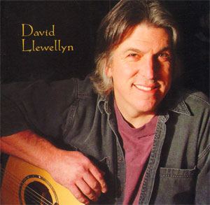 david llewellyn