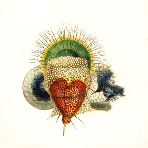 remixolorians