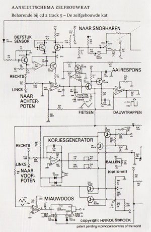 het aansluitschema voor de zelfbouwkat