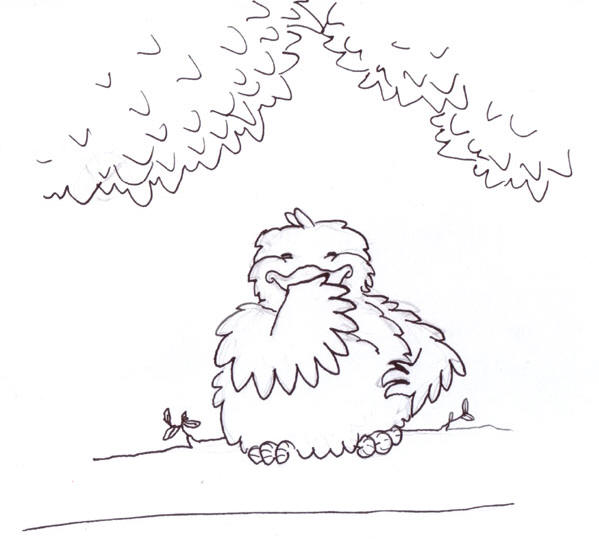 de dikke vogel...