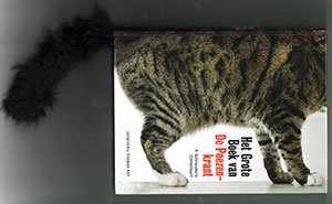 pokraboek  met staart