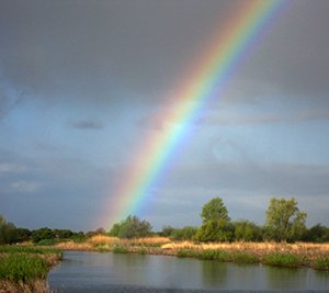 regenboog in de polder