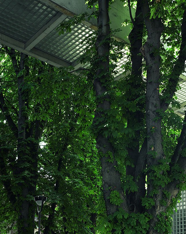 academy of art and architecture