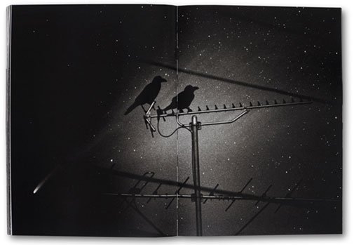 Cosmology