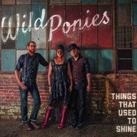 wild ponies – verrassend schurende americana