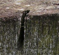 paaltje in de polder, aflevering 3