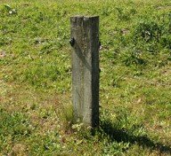 paaltje in de polder, nummer 5