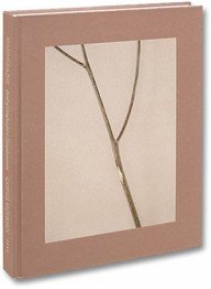 belongs to joe, een verontrustend fotoboek van casper sejersen