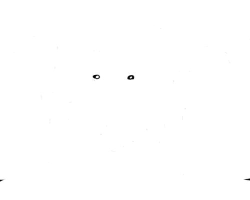 blinkyeyes
