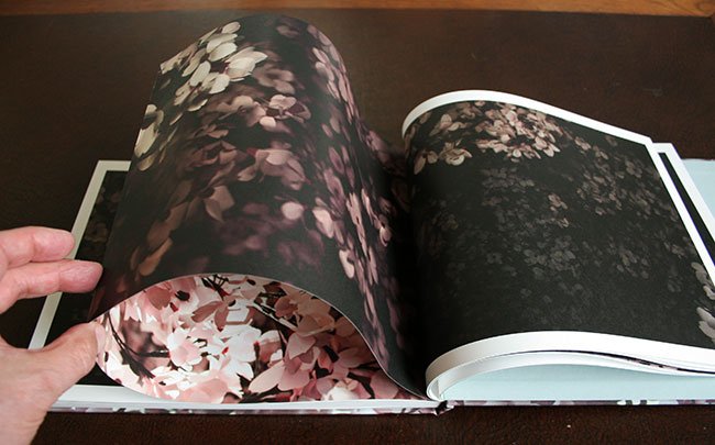 blosom