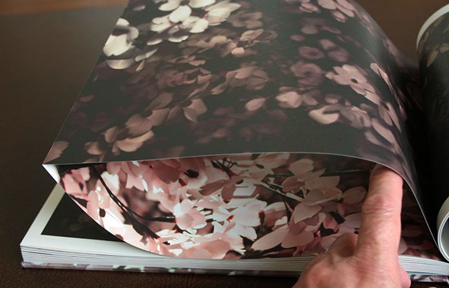 blossom