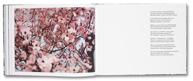 blossom