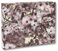 blossom – foto’s en gedichten in een opmerkelijk boek