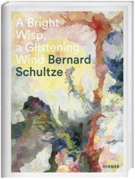 bernard schultze en de informele kunst