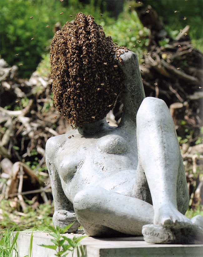 Huyghe