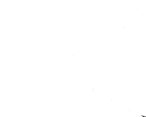 filmpje631