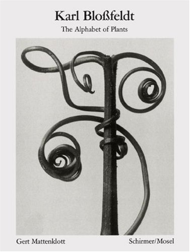het boek van blossfeldt