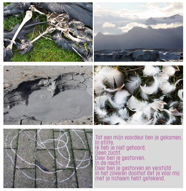 meer foto's