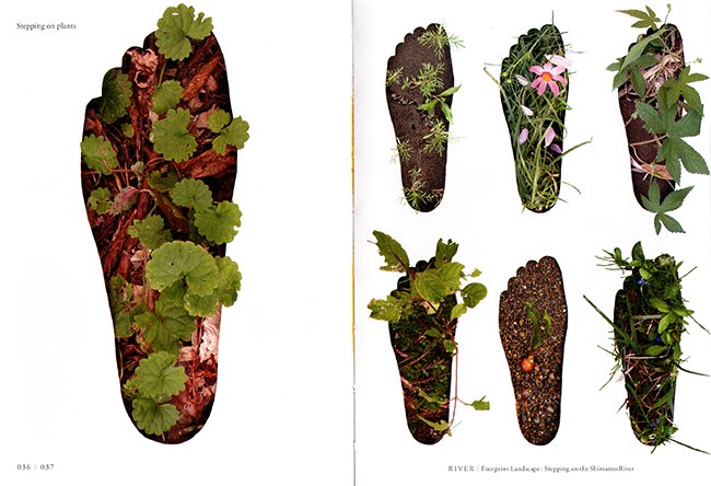 footprint