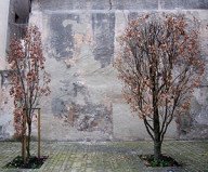 mapping the streets of trier 59 – de muur achter de bibliotheek
