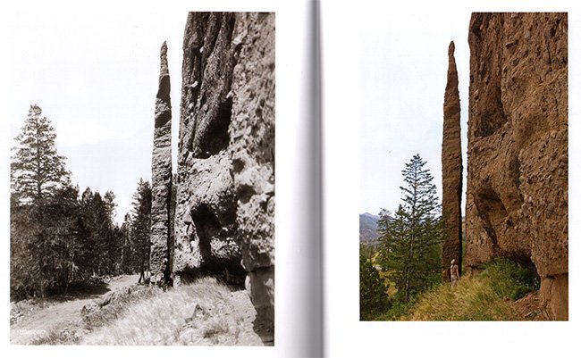 the needle