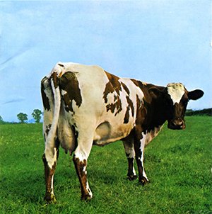 atom heart mother