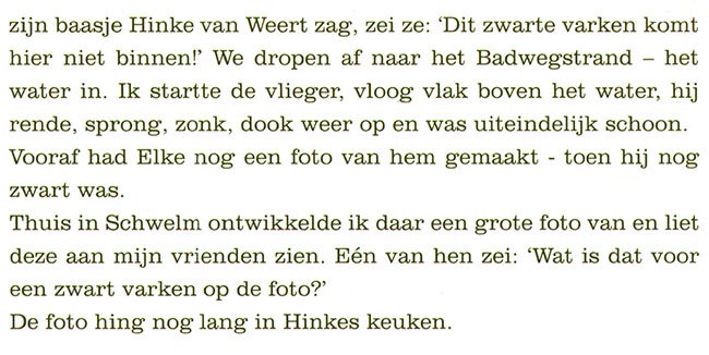een zwart varken