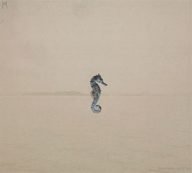 tab – seahorse – subtiele europese kamerjazz