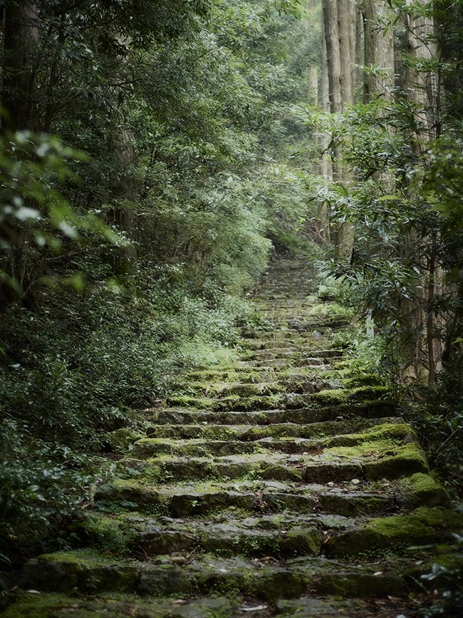 the walk