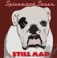 spicewood seven is een americana-duo