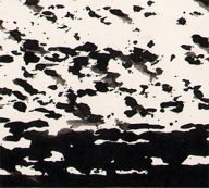 holly moors inkttekening de wadden