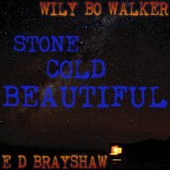 wily bo walker en ed brayshaw met britse bluesrock op zijn best