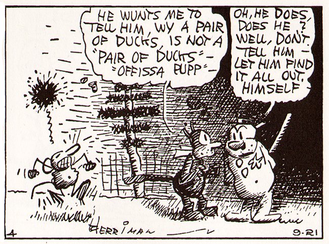 a pair of ducks?