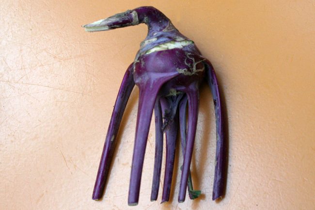 koolrabi
