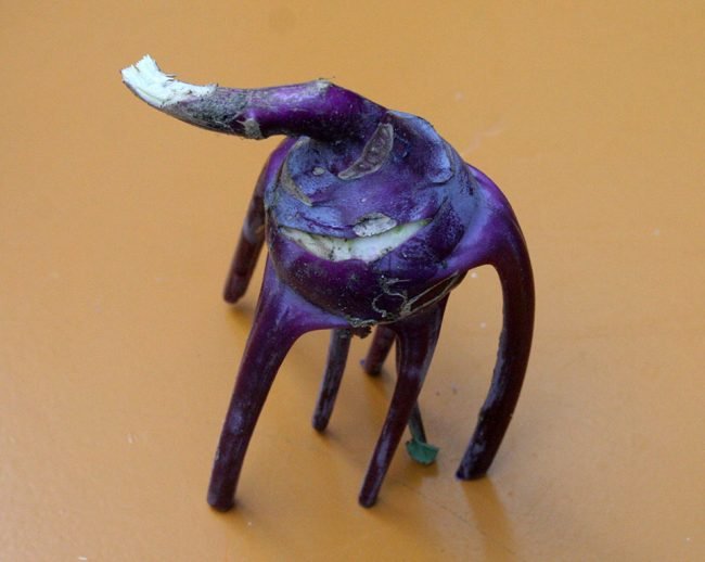 koolrabi