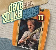 jazzgitarist dave stryker en popmuziek