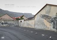 david lurie undercity, het andere kaapstad